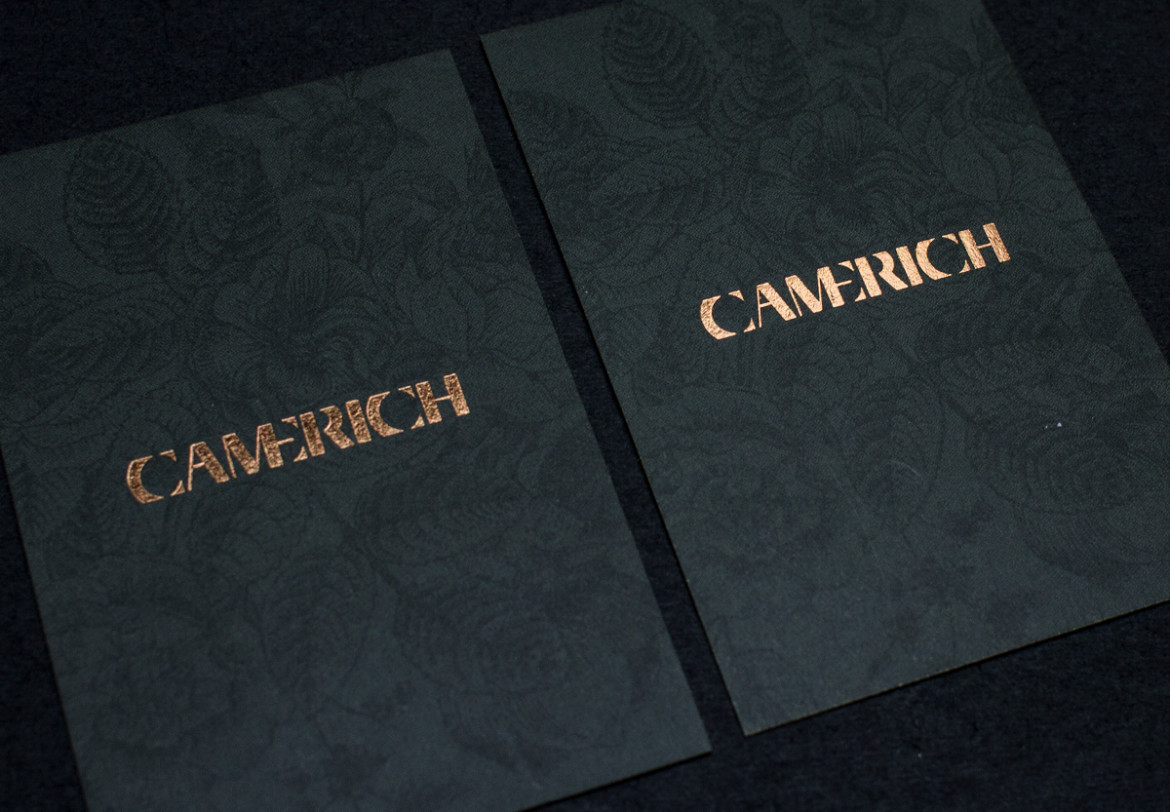 Camerich_LB_RV6